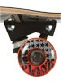 Plan B Sheckler Know Future Mini Complete 7.625 x 30.25