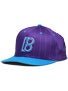 Plan B Pro Spec New Era Snapback Hat