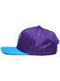 Plan B Pro Spec New Era Snapback Hat