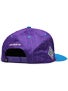 Plan B Pro Spec New Era Snapback Hat