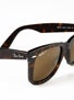 Ray Ban Original Wayfarer  Tort/Polar Brown Lens/50mm