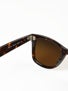 Ray Ban Original Wayfarer  Tort/Polar Brown Lens/50mm