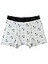 RVCA Below Deck Boxer Briefs