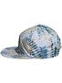 RVCA Dustbowl Snapback Hat