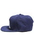 RVCA Old Gold Starter Hat