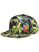 RVCA Shovelnose Snapback Hat