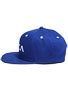 RVCA Twill Snapback II Hat