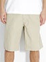 RVCA Civilian Delta Short
