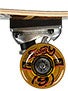Sector 9 Nicaragua Cosmic Complete  8.5x38