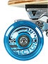 Sector 9 Puerto Rico Bamboo Complete  8.8x31.75