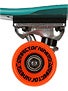 Sector 9 The Steady Mini Teal Complete  6.75x25