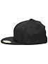 Santa Cruz Opus Flexfit Hat