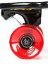 Santa Cruz Oly Totem Longboard Complete 9.9 x 43.5 