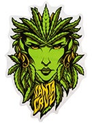 Santa Cruz Weed Goddess 6