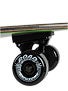 Santa Cruz Woody Shark Green Complete 10 x 36