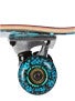 Speed Demon Hawaiian Dream Complete 7.5