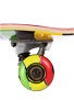 Speed Demon Rasta Torn Complete 7.5