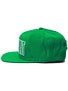 Shake Junt Mainline Snapback Hat