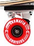 Sk8 Mafia All You Need Mini Complete 7.44 x 26.56