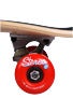 Stereo Oval Cruiser Complete  8.5 x 31.25