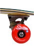 Stereo Stinger Cruiser Complete  8.0 x 30.5