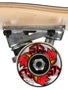 Skate Warehouse Natty-V MD Complete 7.75 x 31.25