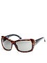 Spy Farrah Alana Collection Sunglasses