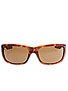 Spy Nolen Sunglasses