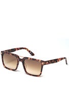 Spy Warwick Sunglasses