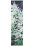 High Times Magazine Weed 2 Griptape by Mob