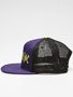 Toy Machine Sect Eye II Mesh Hat