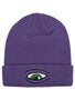 Toy Machine Sect Eye Dock Beanie