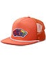 Vans Patch Trucker Plus Hat