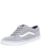Vans Rowley Pro Shoes  Grey/White