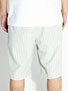 Volcom Frackin Stripe Shorts