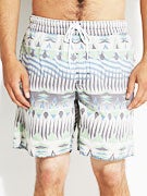 Volcom Mental Funner Boardshorts