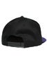 Venture Mainstay Snapback Hat