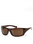 VZ Alysium Tortoise Gloss/Bronze Lens