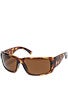 VZ DryDock Glass Polarized Tortoise/Bronze Lens