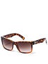 VZ Elmore Tortoise Fade/Brown Gradient Lens