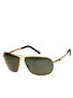 Skitch Gold/Poly Polarized Lens