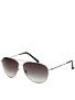 Von Zipper Wingding Silver w/Gradient Lens