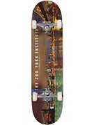 Zoo York Night Team Complete  7.75 x 31.5