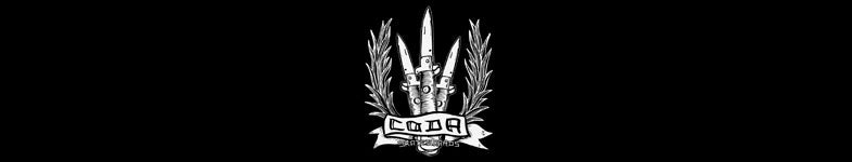 Coda Skateboards