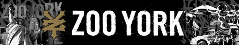 Zoo York Skateboard Videos