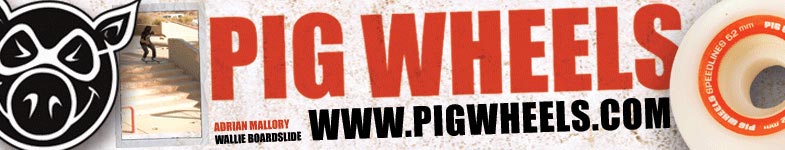 Pig