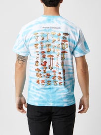 grizzly t shirts skate