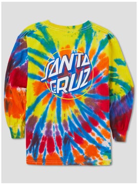 santa cruz youth shorts