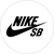 Nike SB Team Shoes