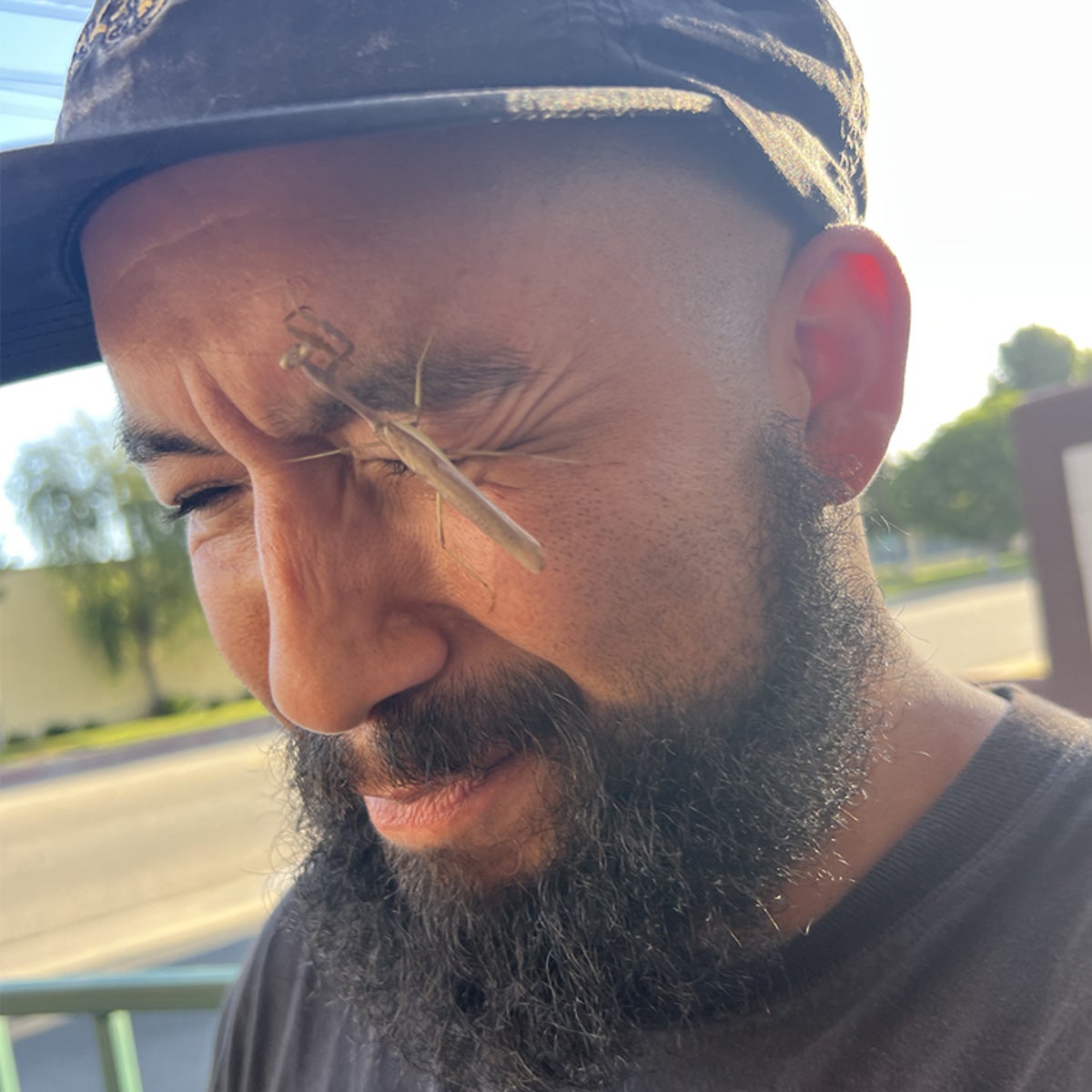 Profile image of Swampy